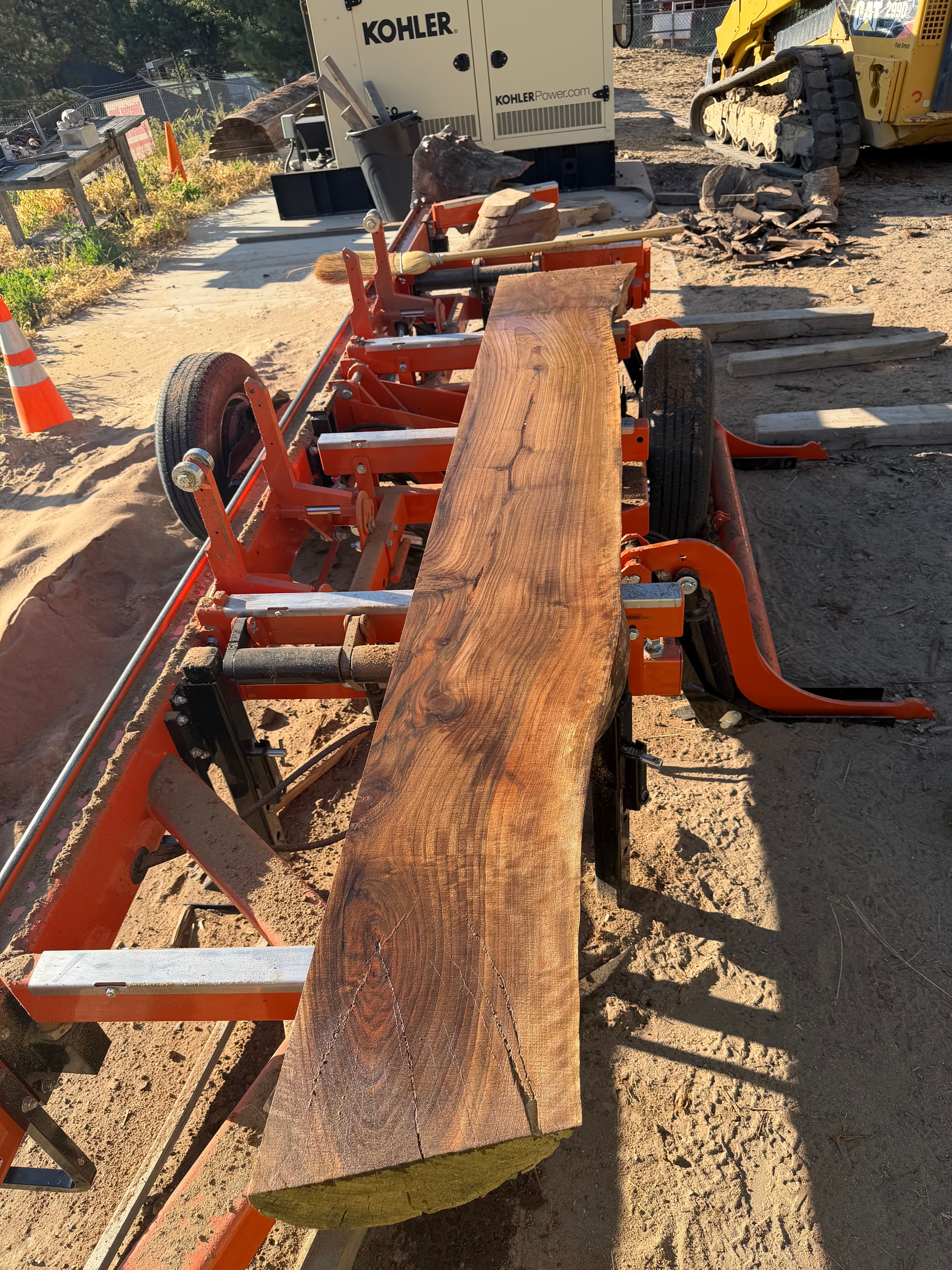 English Walnut