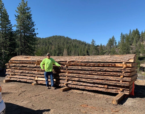 Pine Slab 27ft x 5ft x 5in